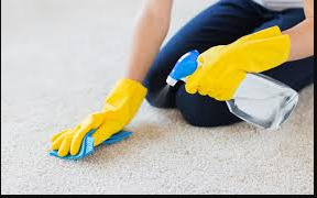 Carpet Cleaning Tips for Stains like Oil and Water